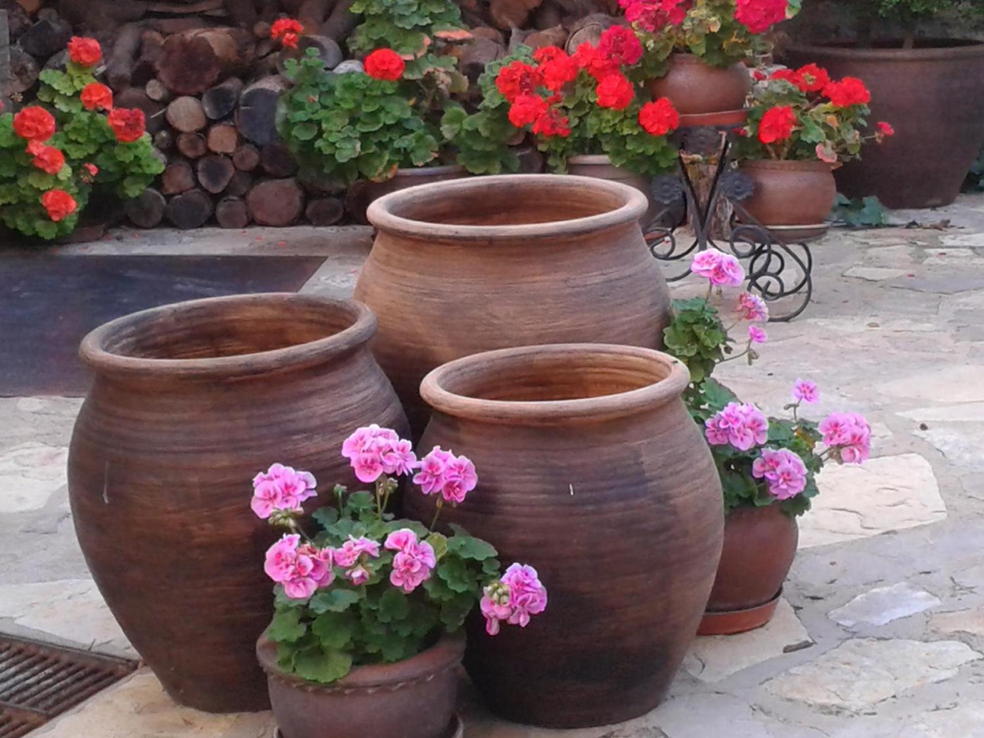 La Posada De Clotilde Cella Buitenkant foto