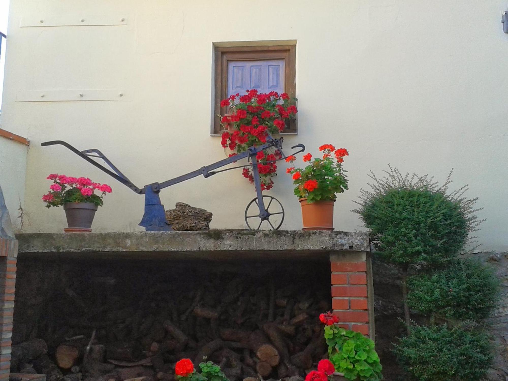 La Posada De Clotilde Cella Buitenkant foto